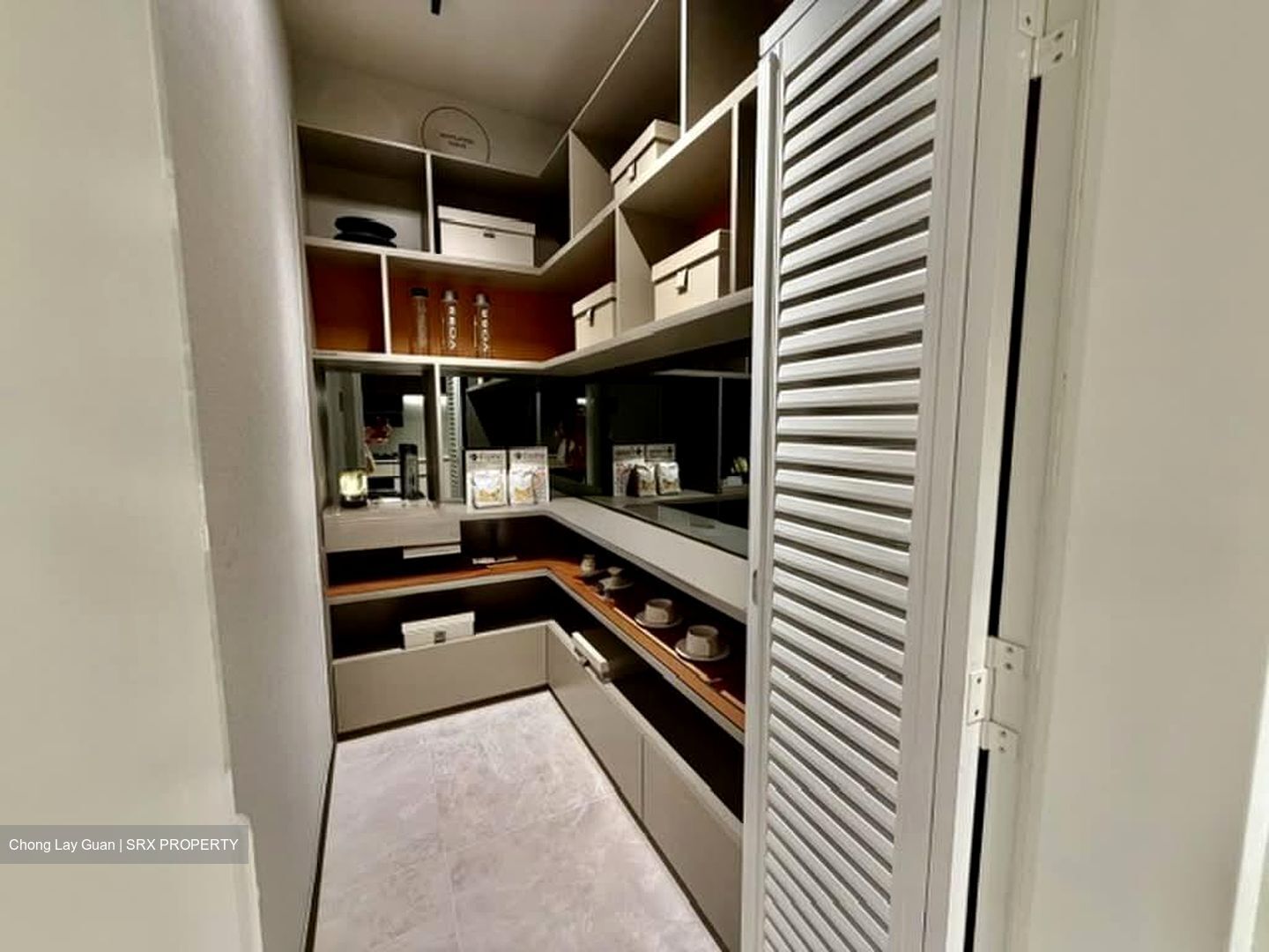 Hudson Place Residences (U/C) (D5), Apartment #595348541